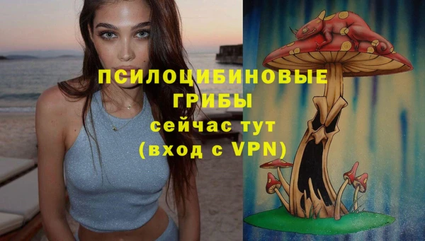 гашик Алзамай