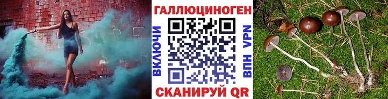 хочу   Осташков  Галлюциногенные грибы GOLDEN TEACHER 